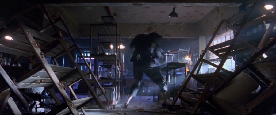 Eight Legged Freaks 2002 BluRay [Hindi + Tamil + English] 480p, 720p ESub Screenshot