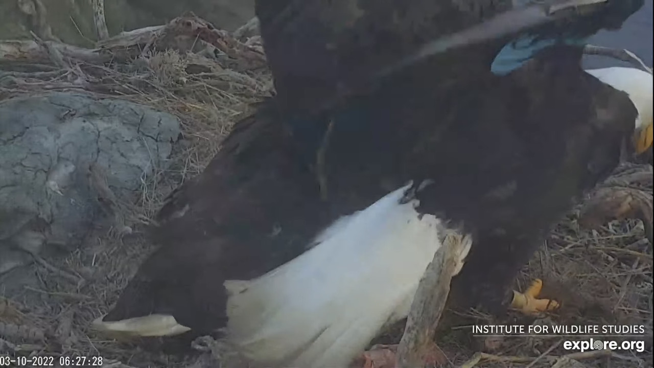 0F687453-B322-4EC0-B34F-9E6DC07F9CEA