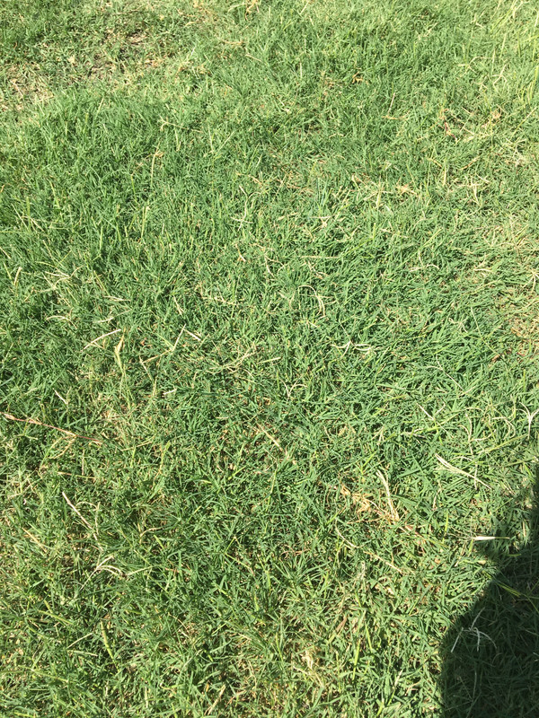 3B63A68A-6A4A-48F0-BEDD-69947568369F