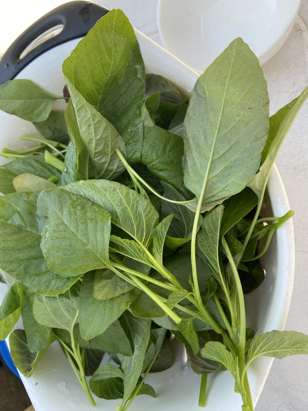 304A777B-469F-443F-B818-403F4741AF37