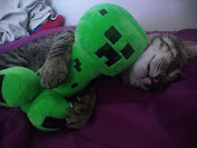 IMG-20191225-100349984.jpg