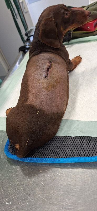 [Image: 20250819-185620.jpg]