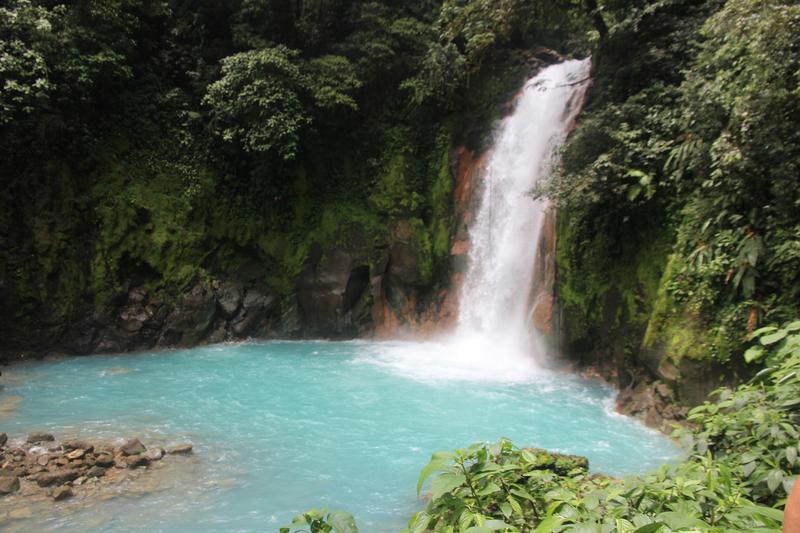 DIA 10: RIO CELESTE - DE TORTUGAS Y PEREZOSOS. COSTA RICA 2019 (14)