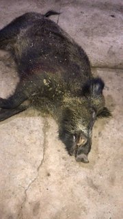 C9C61750-4668-4980-880B-8A5963C3AAE3