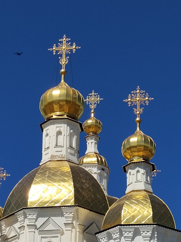 https://i.postimg.cc/0jBS05gB/06-IMG-20240525-101451.jpg