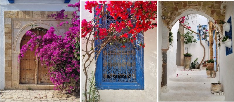 Cartago y Sidi Bou Said - De ruínas y medinas tunecinas (18)