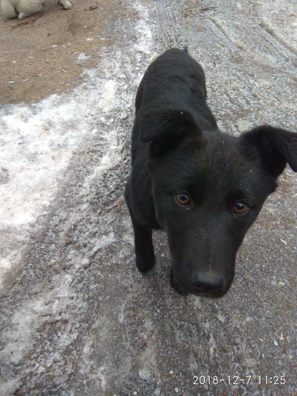 208DADD4-758F-4A1B-95E3-6F679516AFF3