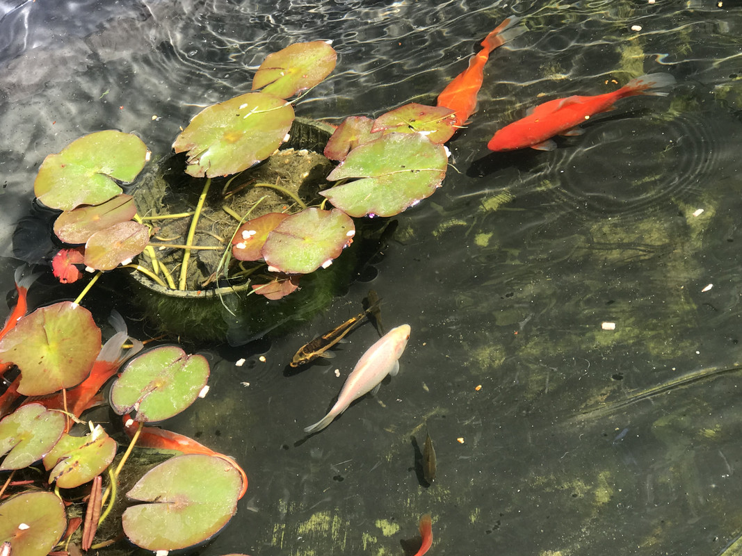 B8AB5CA8-06CD-4855-BC23-1A82CC870ED7