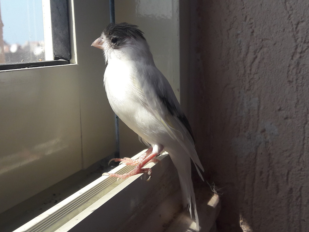 20180529_143937