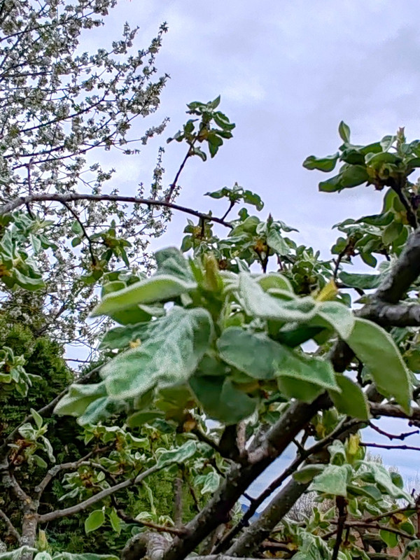 IMG 20260413 190859pb