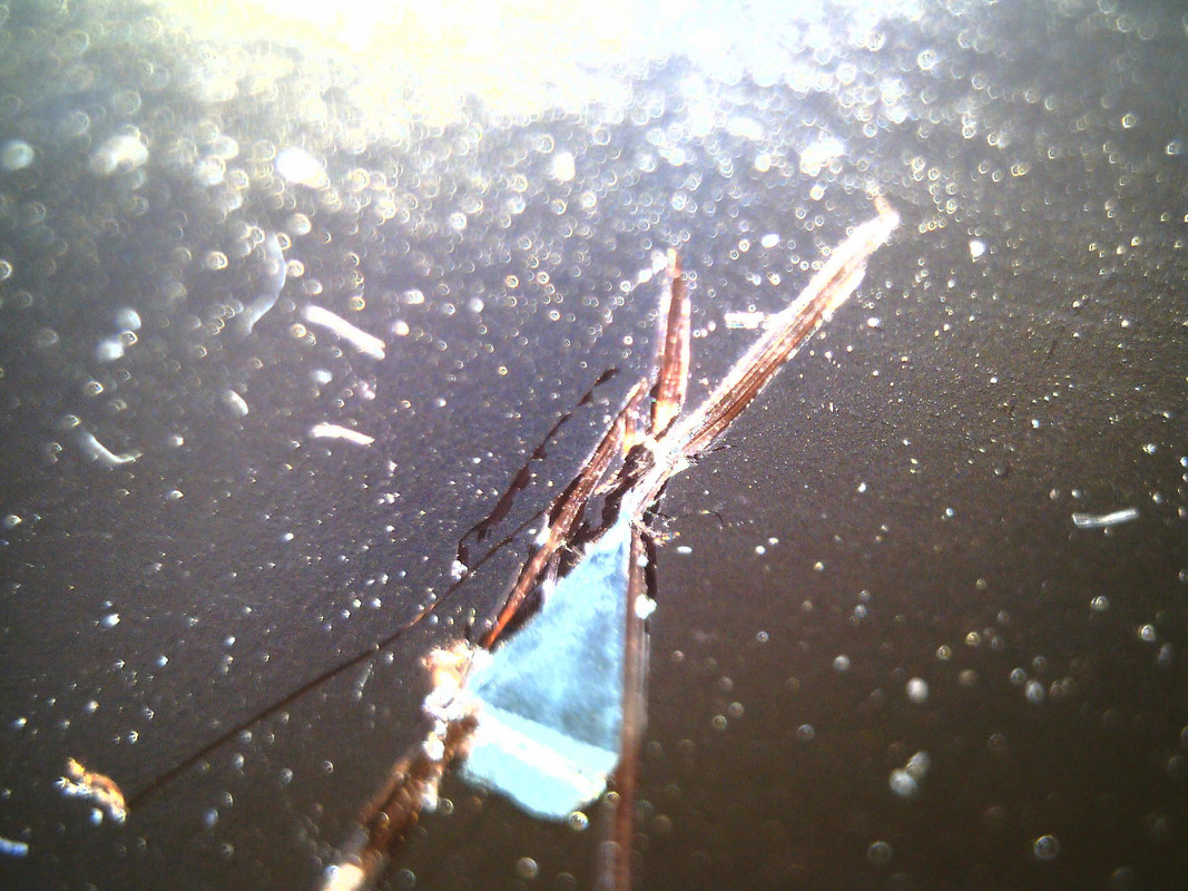 Изображение 007