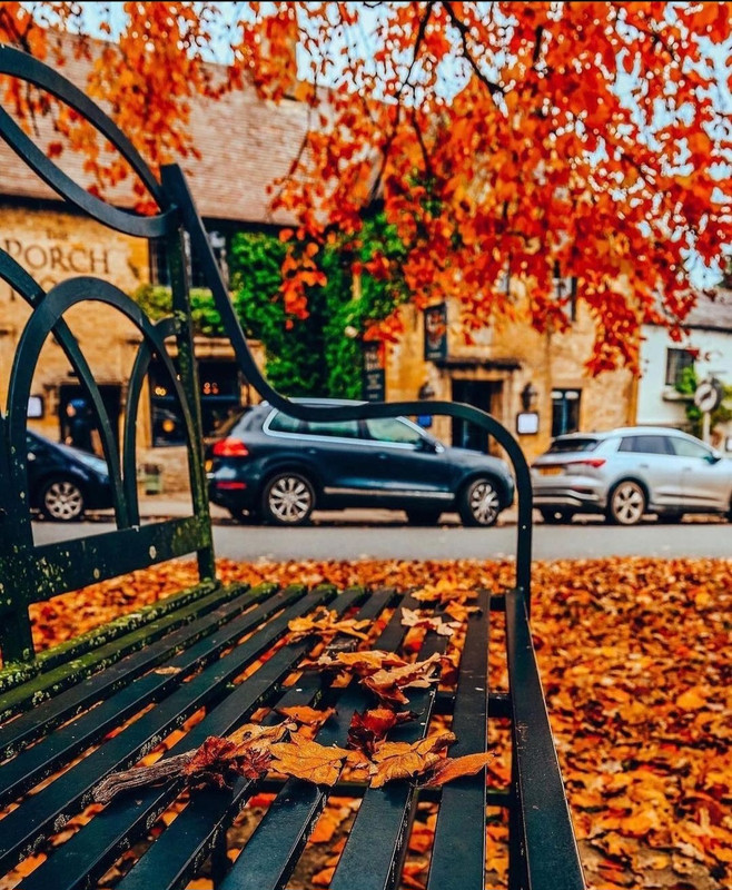 Screenshot_20231112_203405_Instagram