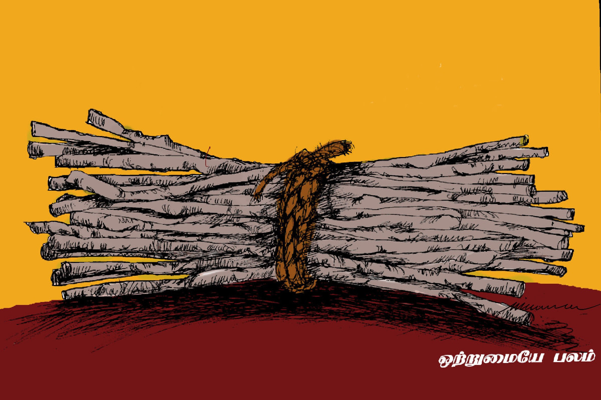 6-E16-A7-CC-20-B7-4-B19-B3-C6-58-A956-B0