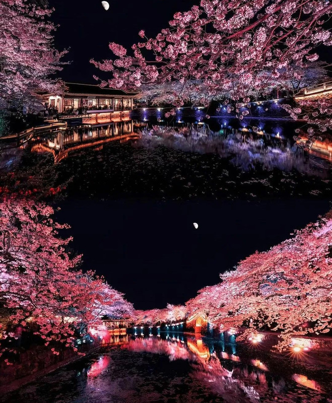 Screenshot_20240419_233036_Threads