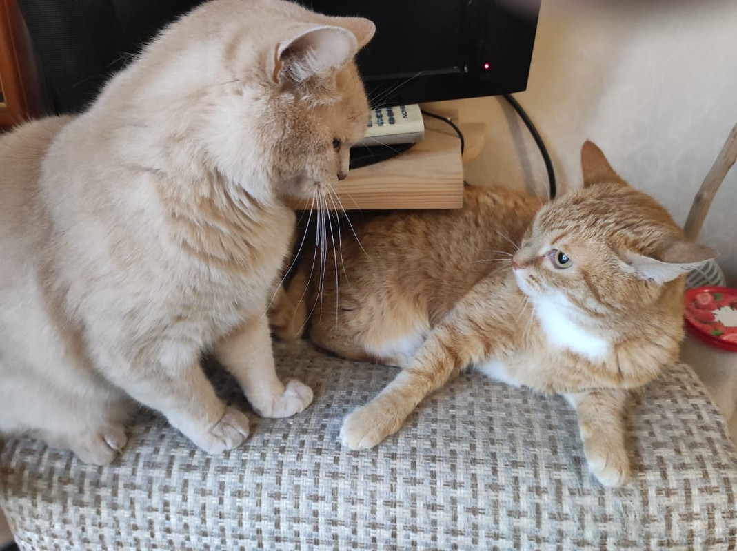 WhatsApp Image 2023-08-23 at 09.16.15 (1)