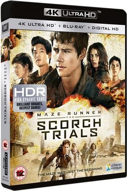 https://i.postimg.cc/0jD3XwF5/Maze-Runner-La-Fuga-4-K-Cover-Rid.jpg