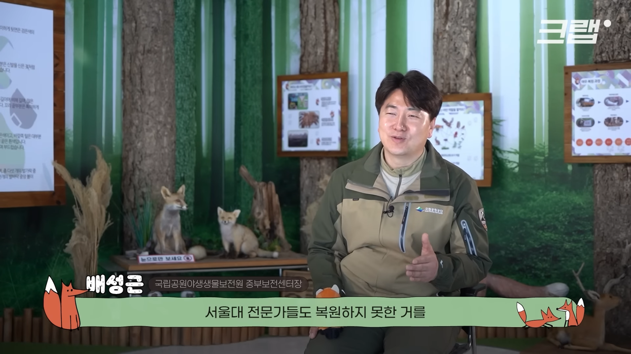 전격 해명_ 대부분 잘못 알고 있다는 토종 여우 복원 스토리｜크랩 4-23 screenshot