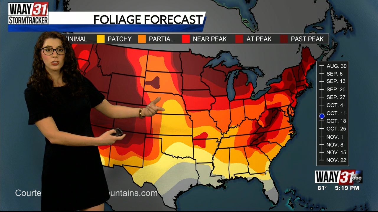 09.25 - 23.00.00 - WAAY 31 News at 5  ᴺᵉʷ. Local and regional news co....ts_snapshot_21.28.132