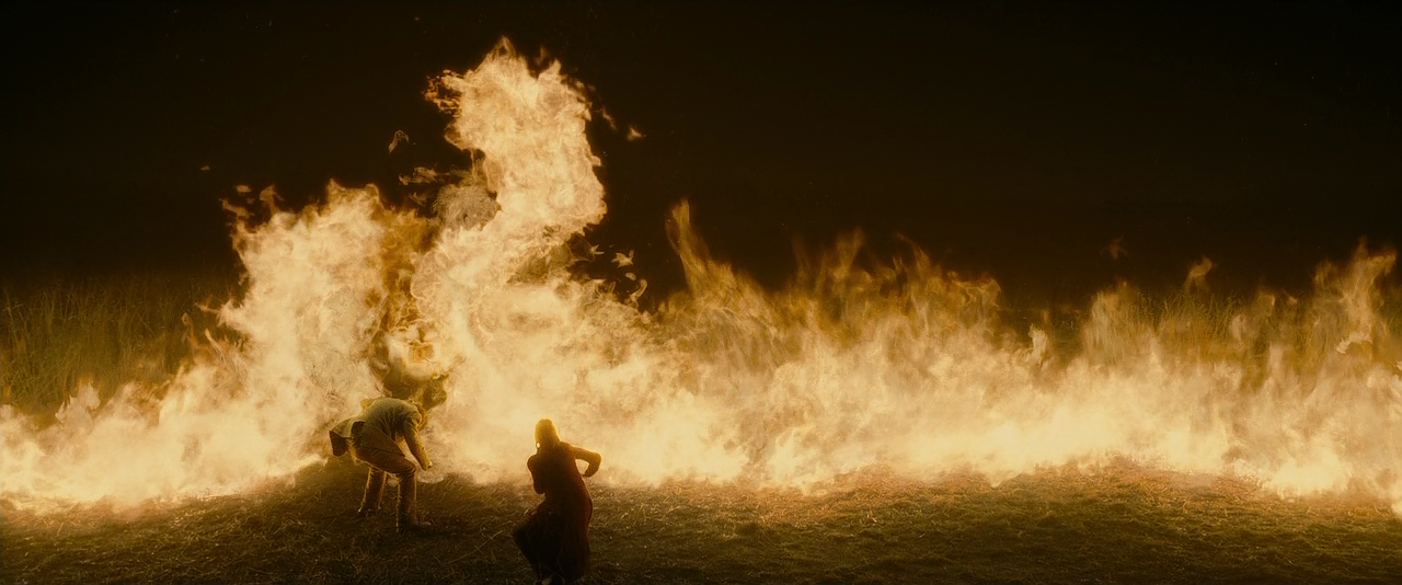 Harry Potter and the Half-Blood Prince.2009.720p.BluRay.x264-LEONARDO_[scarabey.org].mkv - 01.18.28.