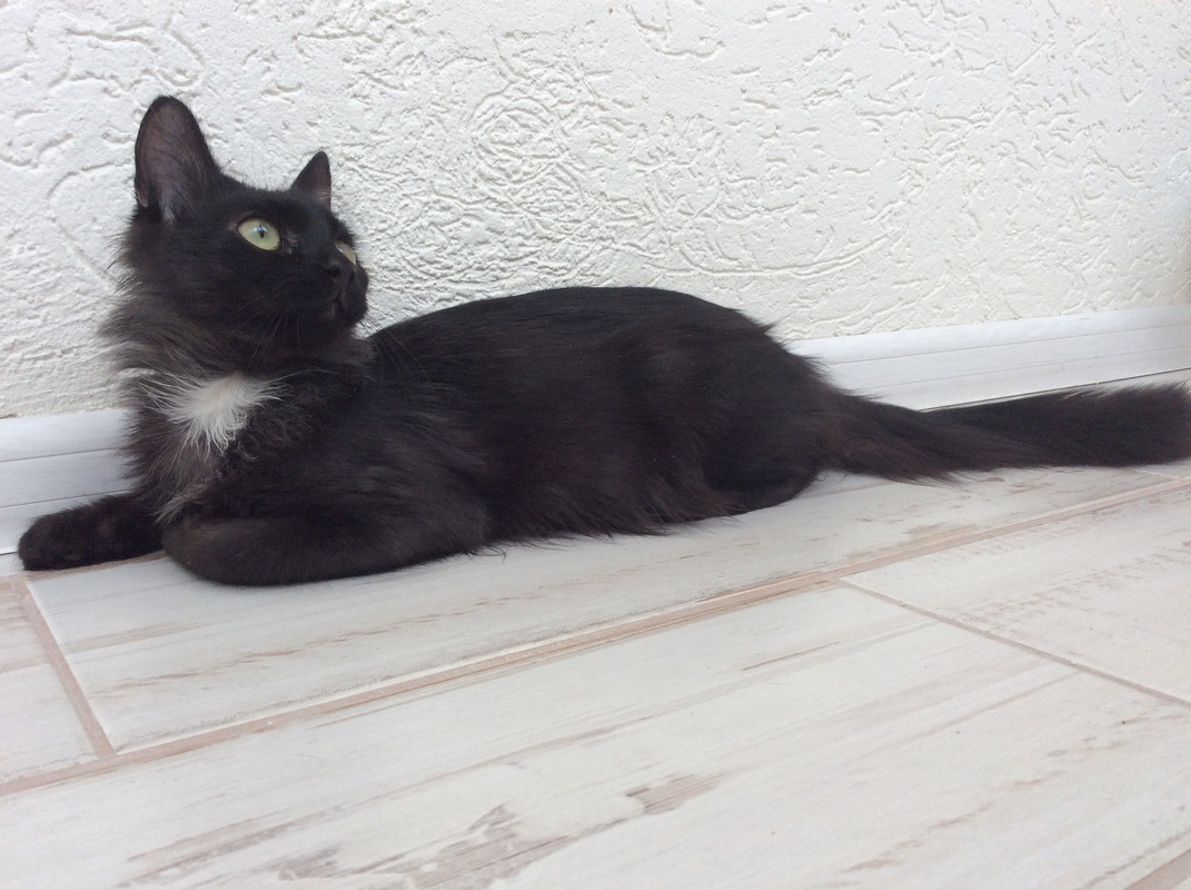 C9B850C9-6716-490B-BBA8-973E2F91DF23