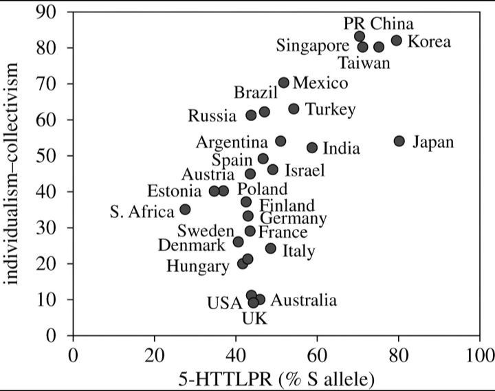 IMG_20240621_145429_169