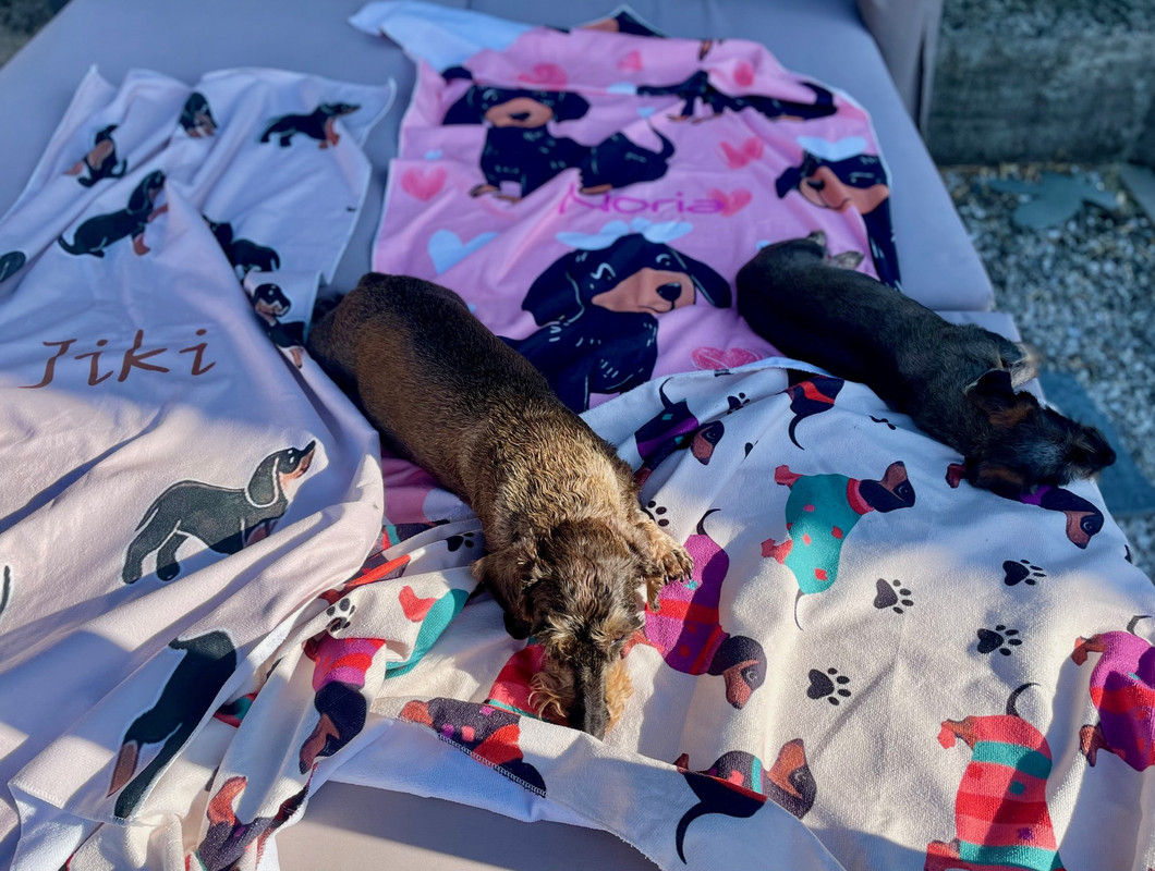 [Image: IMG-9777.jpg]