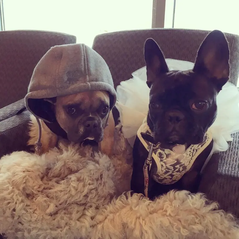 12-26-15-Instagram-003.webp