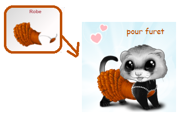 https://i.postimg.cc/0jDxLM02/robe-furet.png