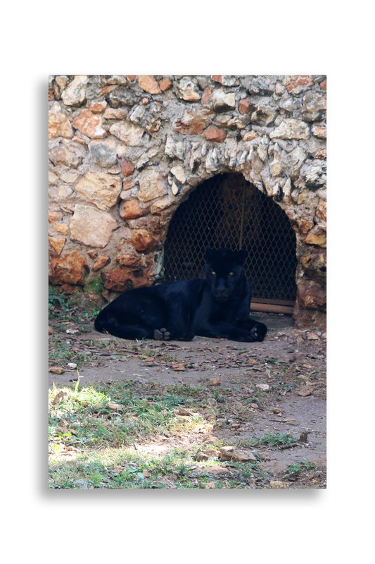 Юкатан. Неделя в декабре 2025