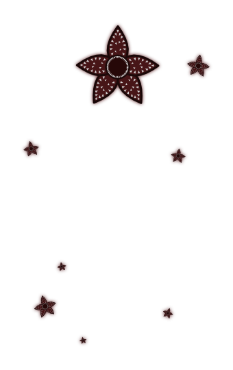 https://i.postimg.cc/0jF0Dhxw/1.png