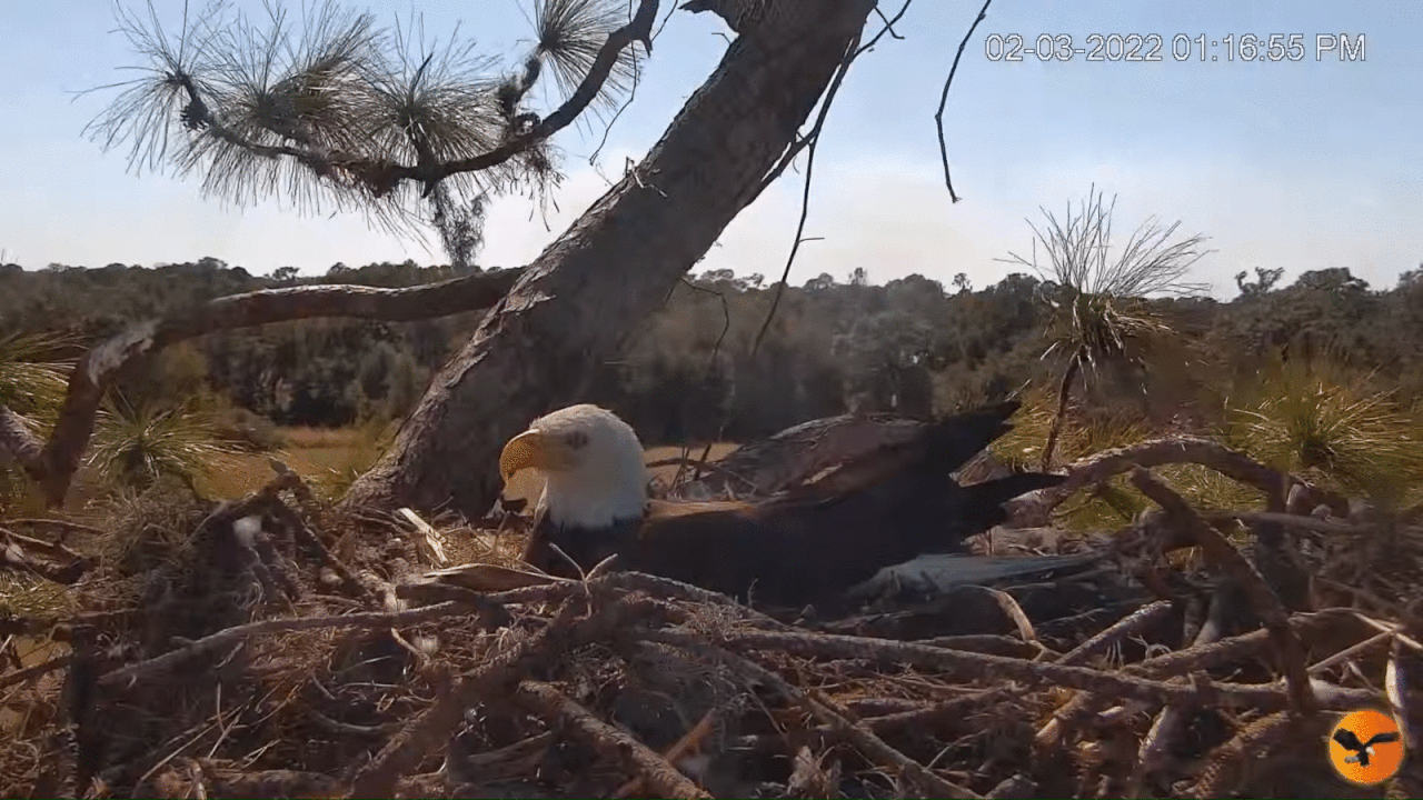 Webp.net-gifmaker (5)