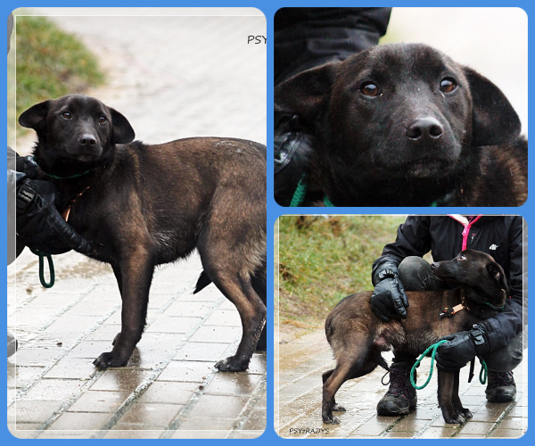 BeFunky-collage (18)