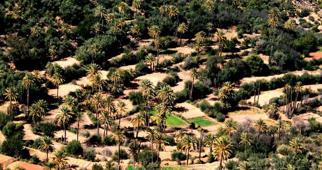 Immouzzer des Ida Outanane, Ruta-Marruecos (3)