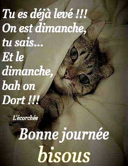 dimancheee