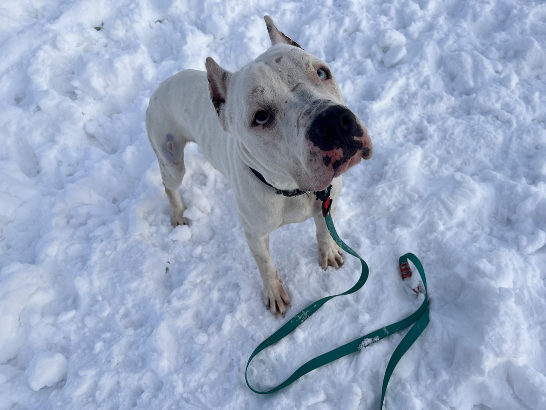 9B9531FD-AAAB-49E5-85EC-9BD033034D2B