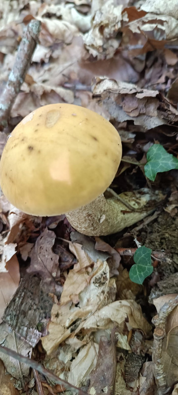 WhatsApp Image 2023-07-31 at 13.04.59 (2)