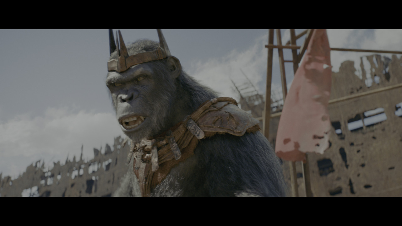 vlcsnap-2024-08-23-20h56m46s905