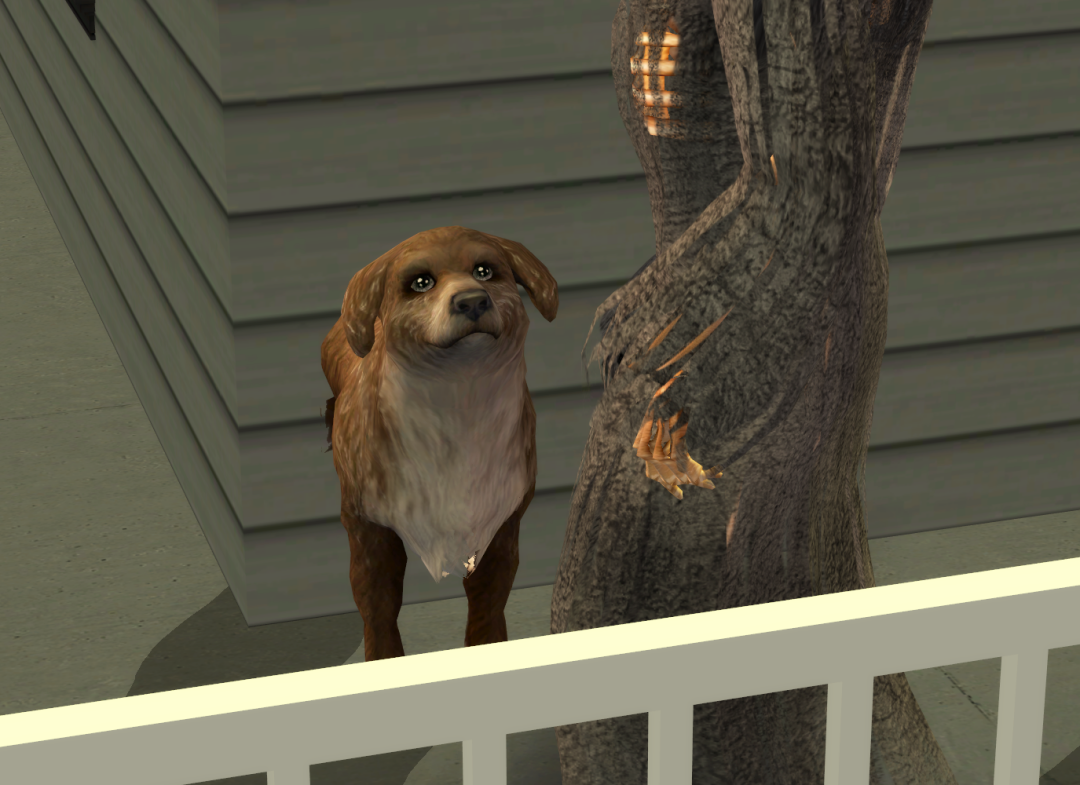 Sims2-EP9-RPC-2023-02-25-19-25-03-12