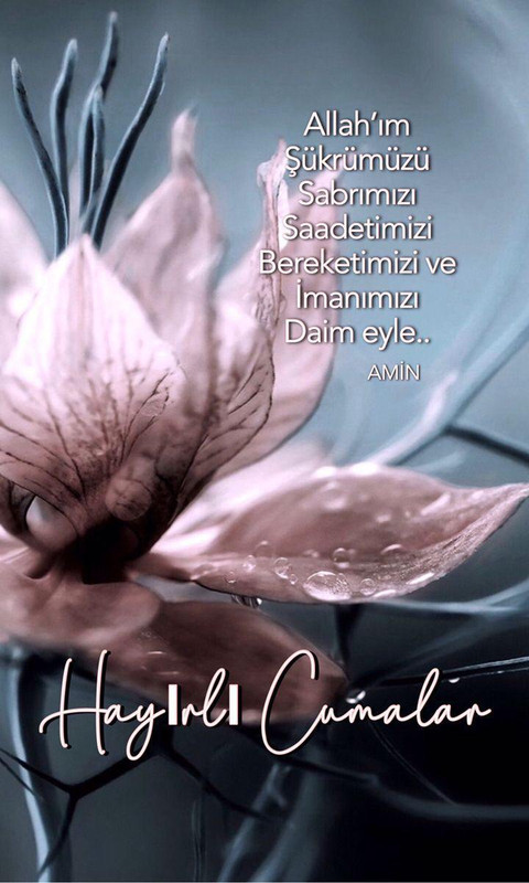 resim