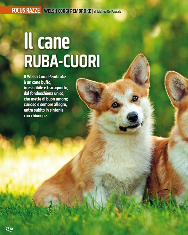 QuattroZampe Giu 2024 (5)