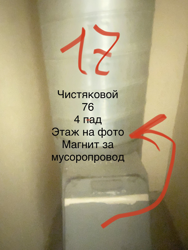 IMG 4356