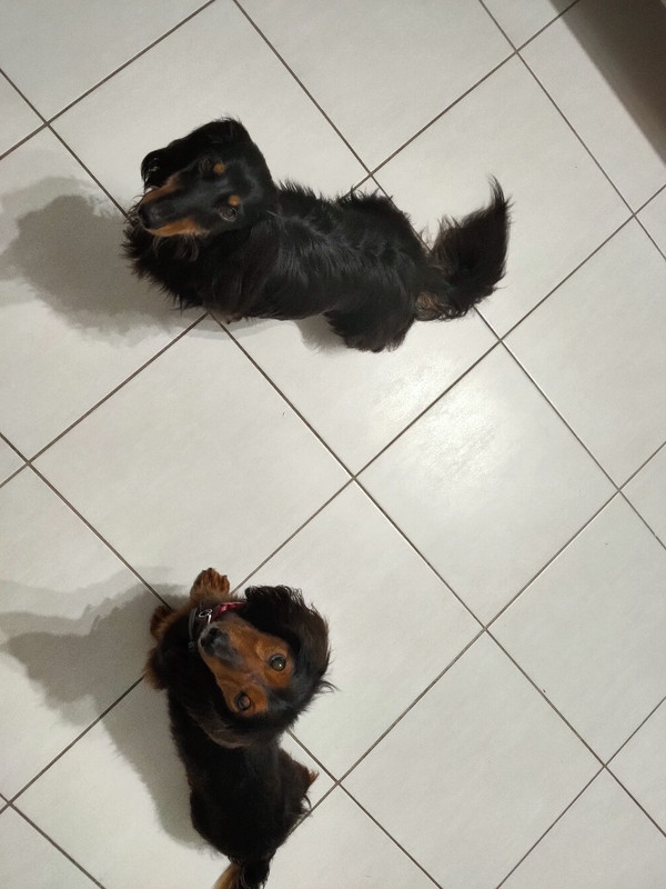 [Image: IMG-20240908-055139.jpg]