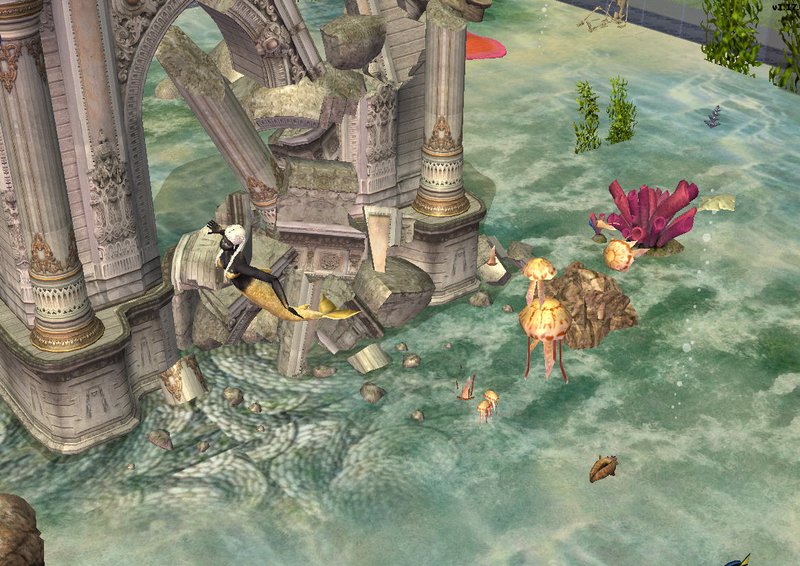 swim floating and the ruines