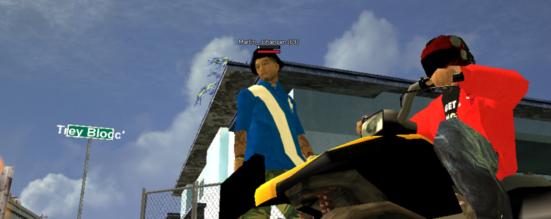 ss5.png