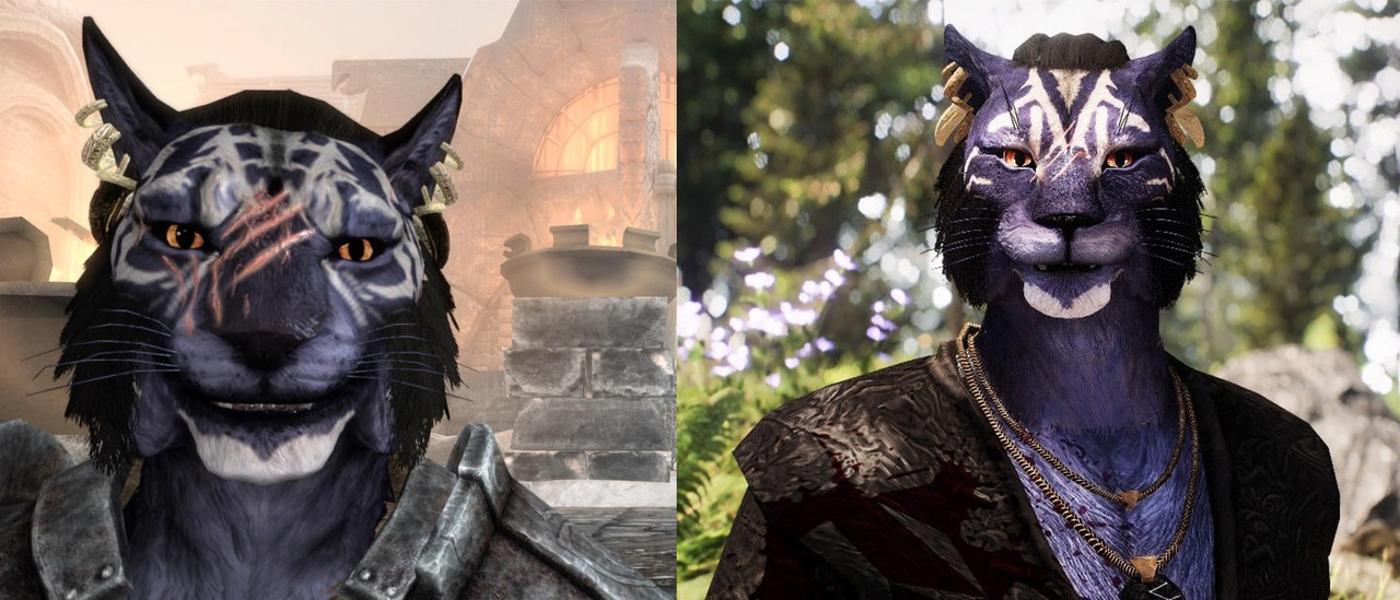 Zoldyg's Inigo - A Visual Replacer at Skyrim Special Edition Nexus ...