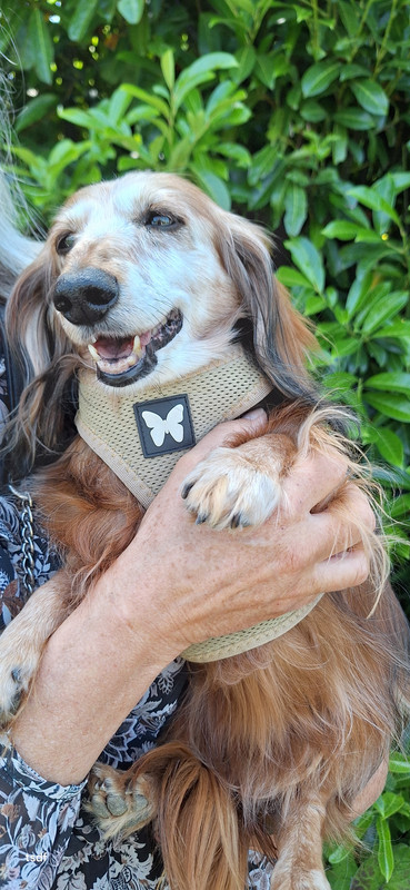 [Image: 20250615-150428.jpg]