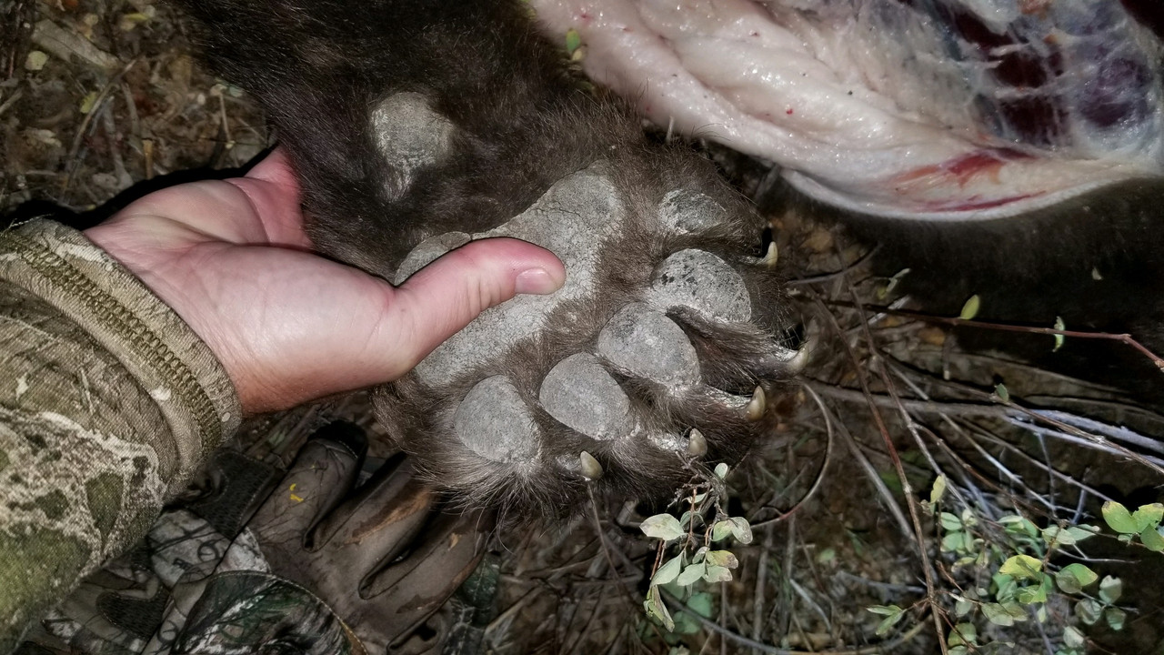 180ABA21-D27F-4D57-ADFE-5862E8DB8211