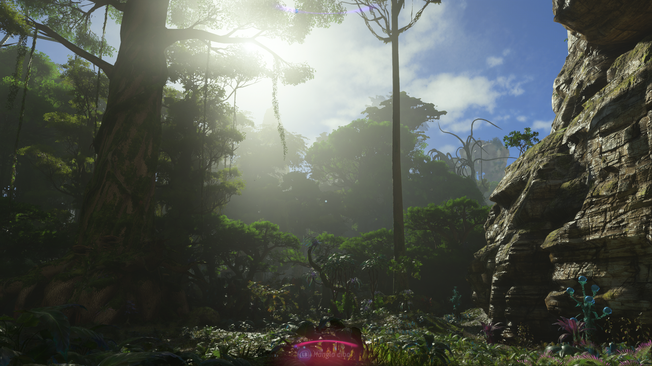 2c16244a-9cf6-49d6-9860-c0767b968707