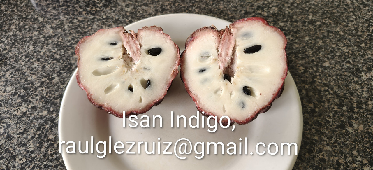 IMG20251009094349 2