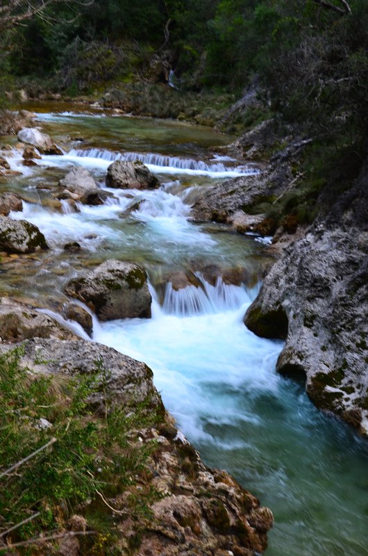 RUTA RIO BOROSA-12-3-2016-JAEN - Paseando por España-1991/2016 (215)